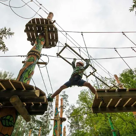 Apartment Lakefront In Zamardi-balaton 55198