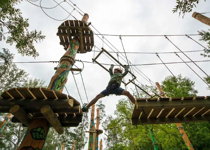 דירה Lakefront In Zamardi-balaton 55198