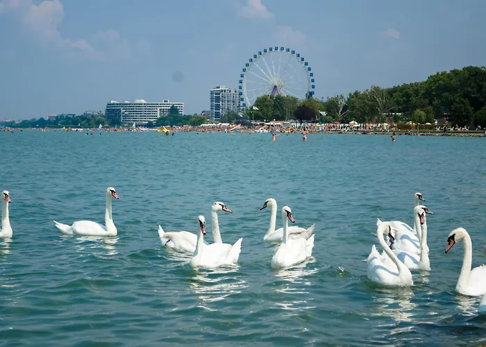 Lakefront In Zamardi-balaton 55198 * Замарди